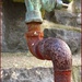Rusty Water Spout by olivetreeann