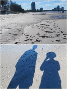 3rd Aug 2014 - Footprints and Shadows.