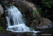 31st Jul 2014 - Bowen Park waterfall