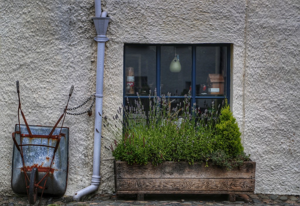 Gardener's Window by jesperani