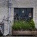 Gardener's Window by jesperani
