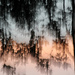 ICM trees and sky by nanderson
