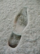 29th Jan 2010 - Footprints in the snow