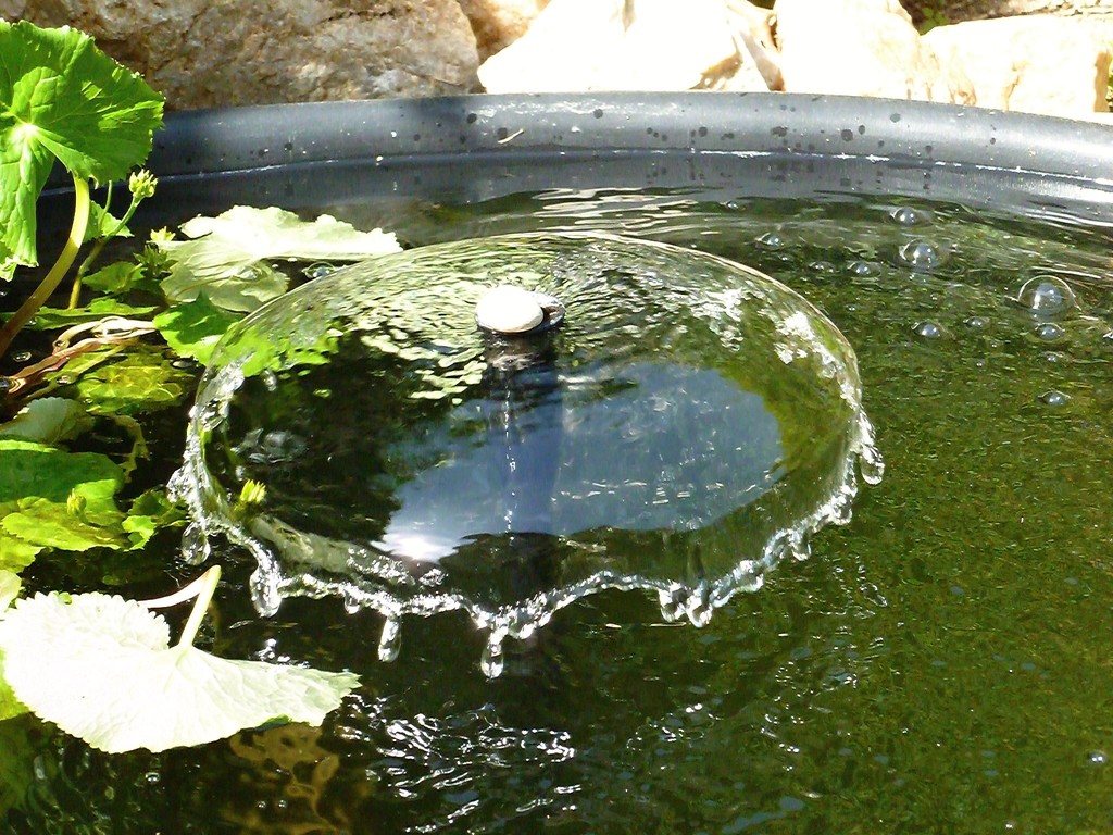 Fountain by gabis