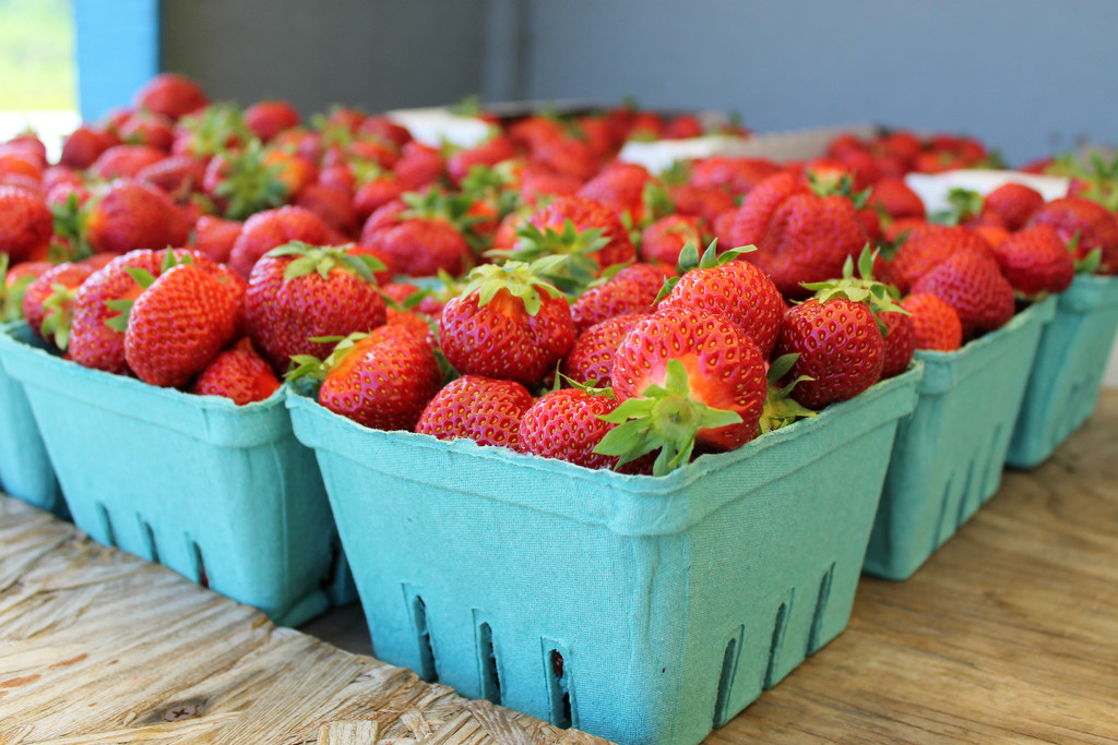 Strawberries! by lauriehiggins
