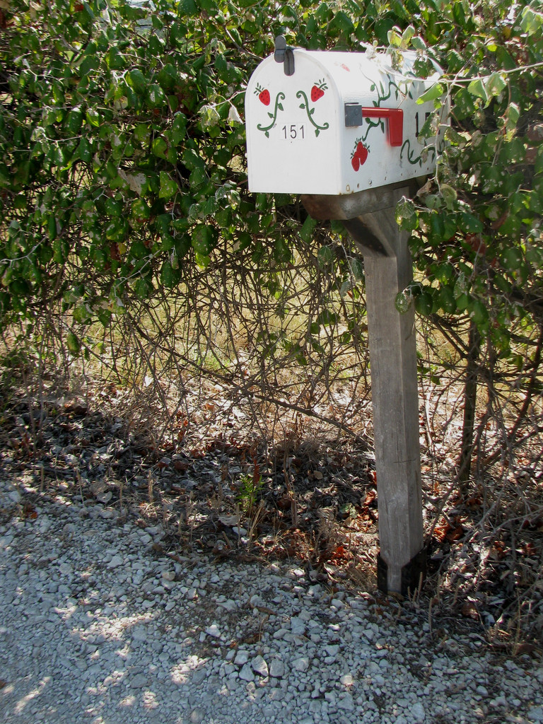 My Mailbox... by bellasmom
