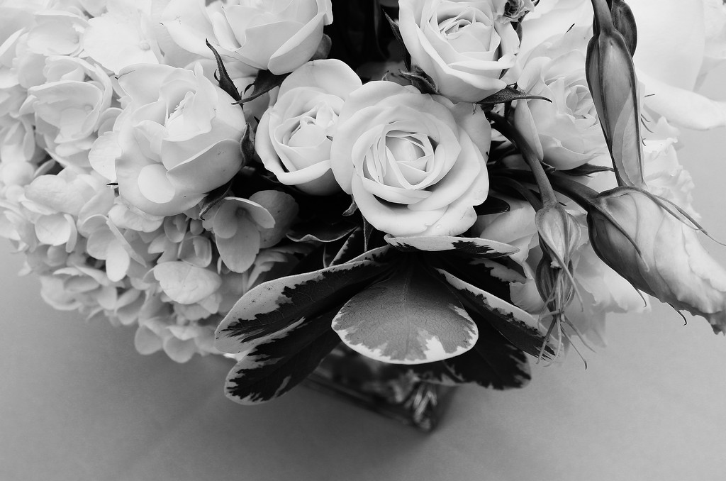 Bouquet by edorreandresen
