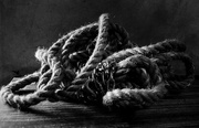 4th Aug 2014 - The Rope