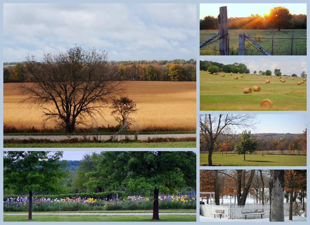 My Favorite Photos in a Collage - Seasons by genealogygenie