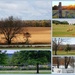 My Favorite Photos in a Collage - Seasons by genealogygenie
