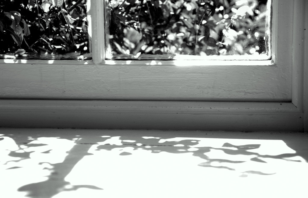 Shadows on the window sill by overalvandaan