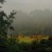 Misty Meadow by skipt07