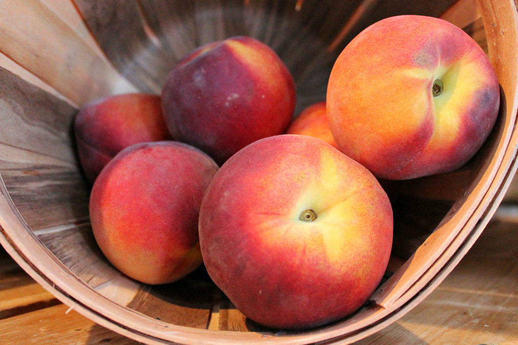 Peaches! by lauriehiggins