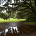 After heavy rains, Charles Towne Landing State Historic Site, Charleston, SC by congaree