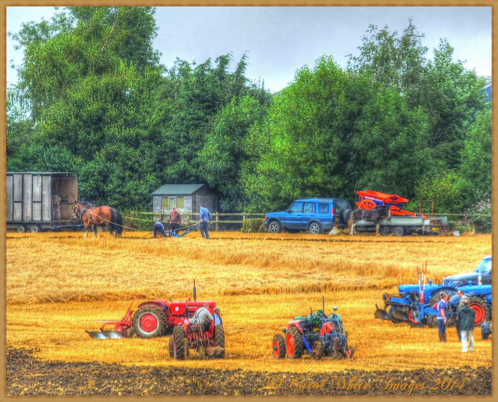 Old Time Ploughing by carolmw