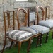 chairs in the garden by sarah19