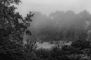 5th Aug 2014 - Misty Meadow - B/W