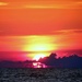 Florida Sunset by lynnz