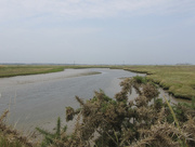 2nd Aug 2014 - Orford Ness