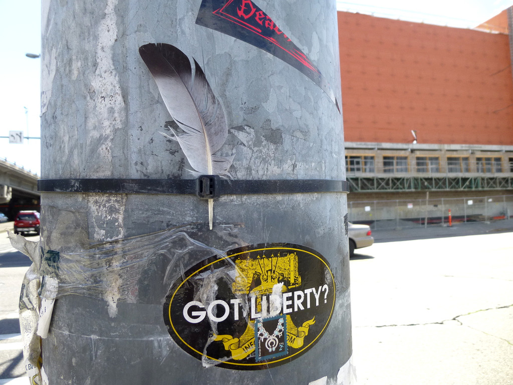 Got Liberty? by stephomy