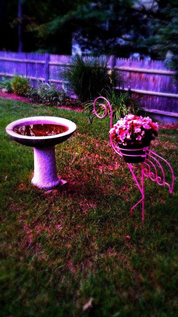 Mom's Flamingo by lifepause