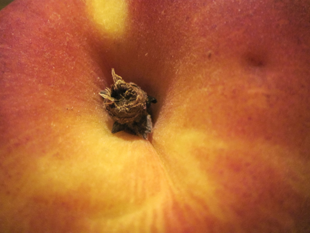 Summer Produce (1/3) - Peach by dakotakid35