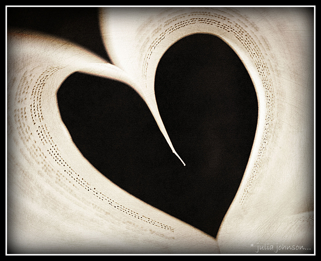 Heart book .... by julzmaioro