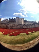 6th Aug 2014 - The Tower...