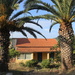 Palm Tree House by emma1231