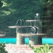 Fountain on N. Green by randystreat