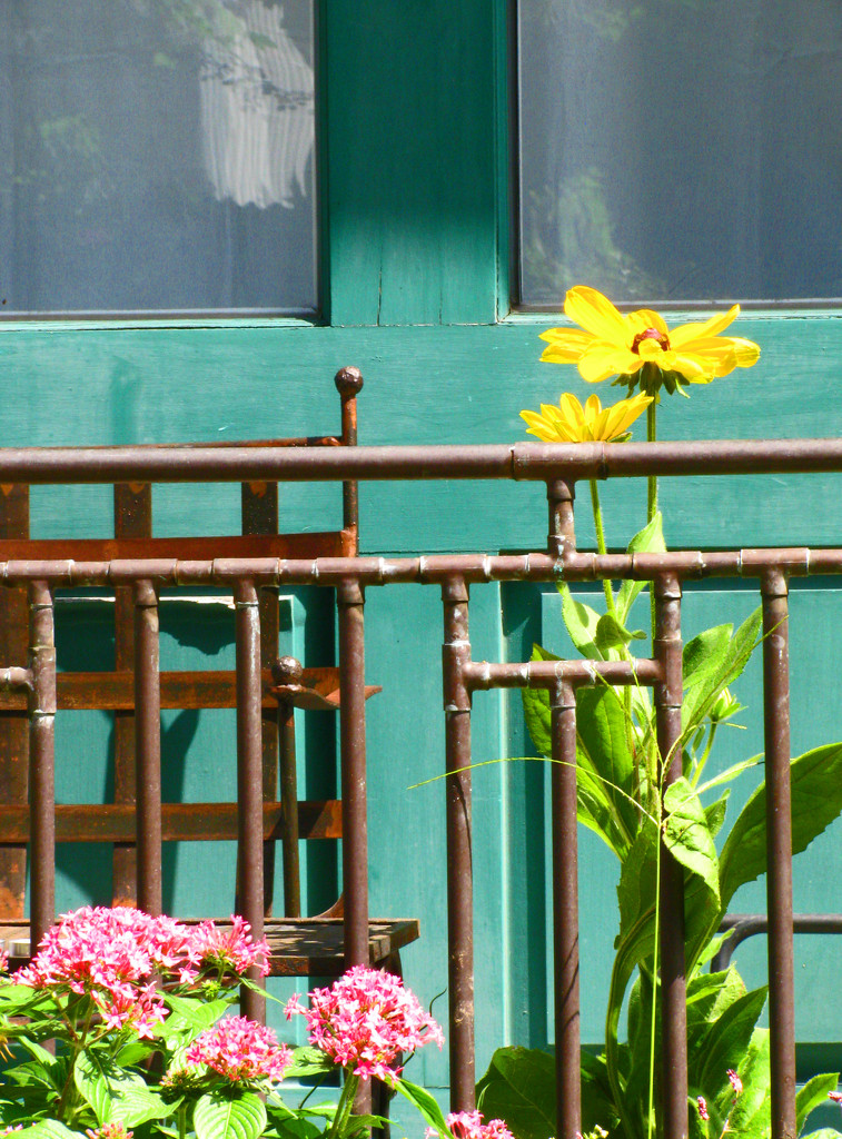 Flower, Gate, and a Door by april16