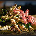 Lily of the Valley.. by julzmaioro