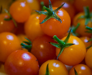6th Aug 2014 - Tomato Garden Harvest