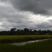 Marsh and skies, Charles Towne Landing, Charleston, SC by congaree
