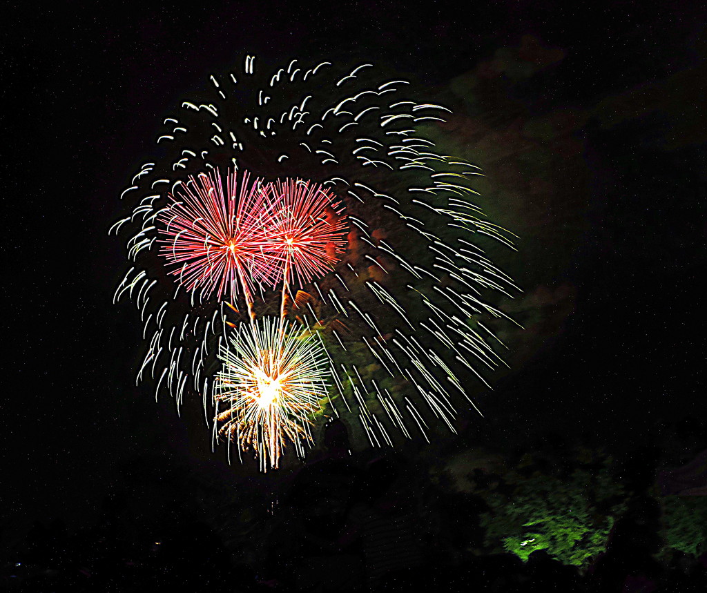 ...the bombs bursting in air.... by homeschoolmom