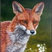 Mr Fox by rosiekind