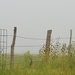 Foggy Fence by kareenking