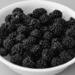 Blackberries...... by anne2013