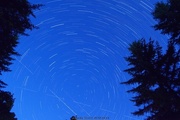 8th Aug 2014 - perseid meteor shower