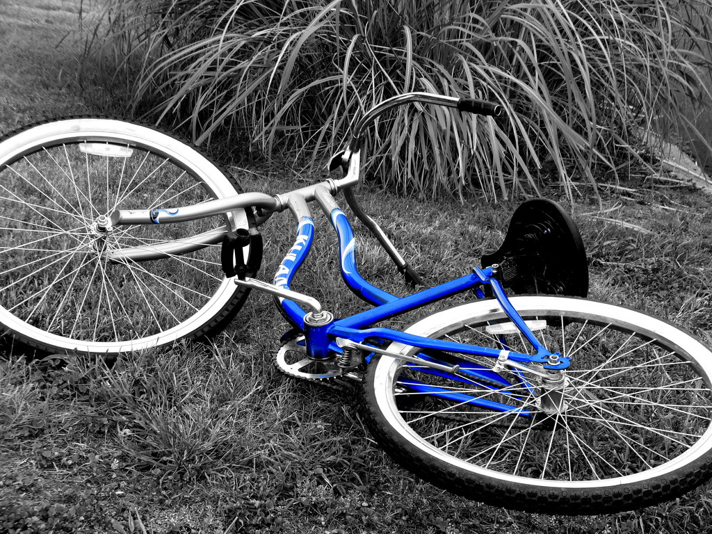 Little Bike Blue by linnypinny