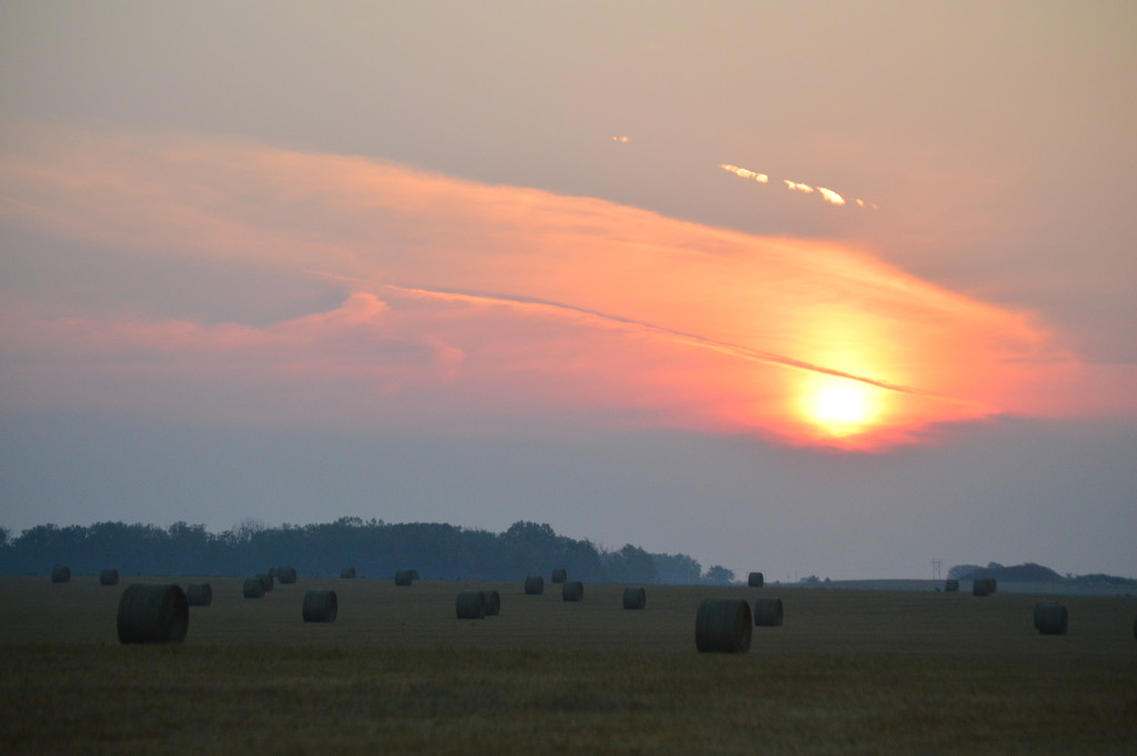 Sunrise Over Haybales by kareenking