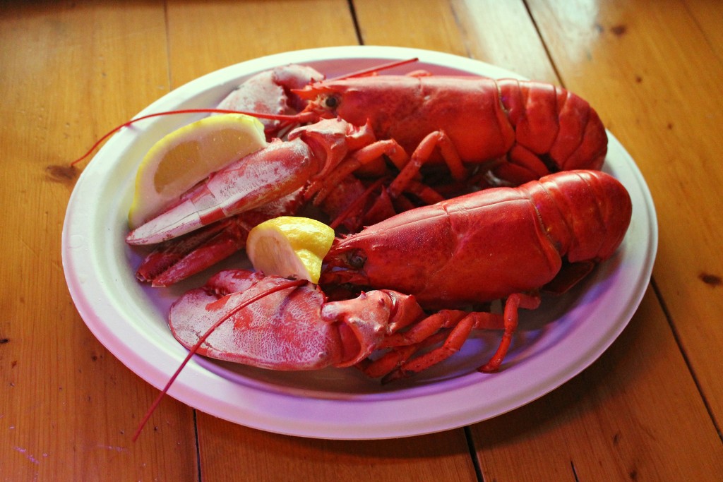 Lobster! by lauriehiggins