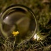 Wrong Side of the Crystal Ball..... by shepherdmanswife