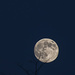 Super Moon by lstasel