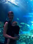 6th Aug 2014 - Visiting the aquarium, she loved watching the fishies.