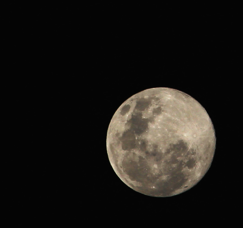 Super moon sparkling bright in the night by kiwinanna