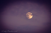 10th Aug 2014 - Cloudy Moon