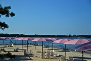 10th Aug 2014 - blue skies and pink umbrellas