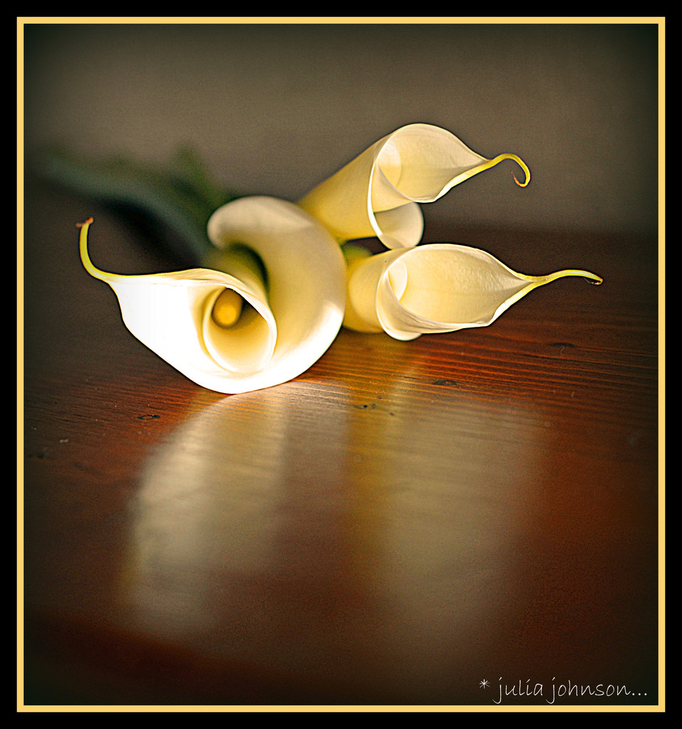 3 lily's by julzmaioro