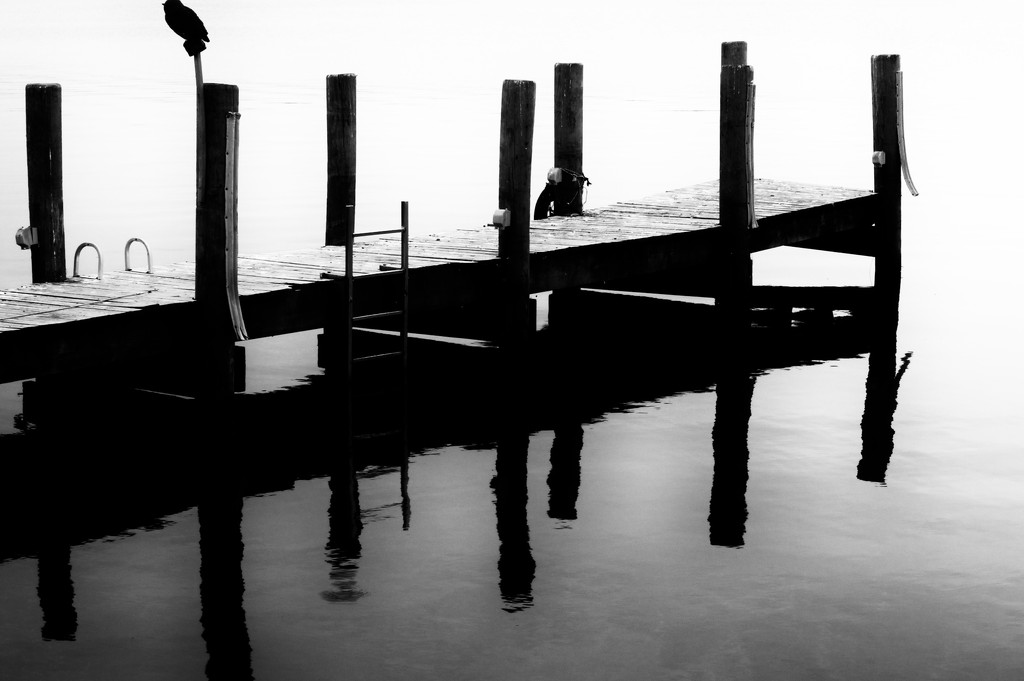 Old Pier by taffy